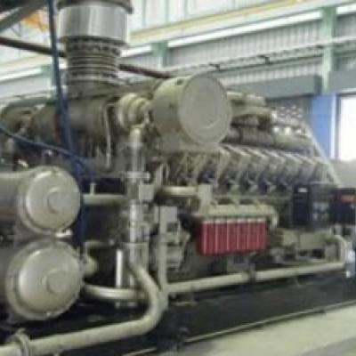 تايلاند 5 × 1000kW مولدات الغاز الحيوي